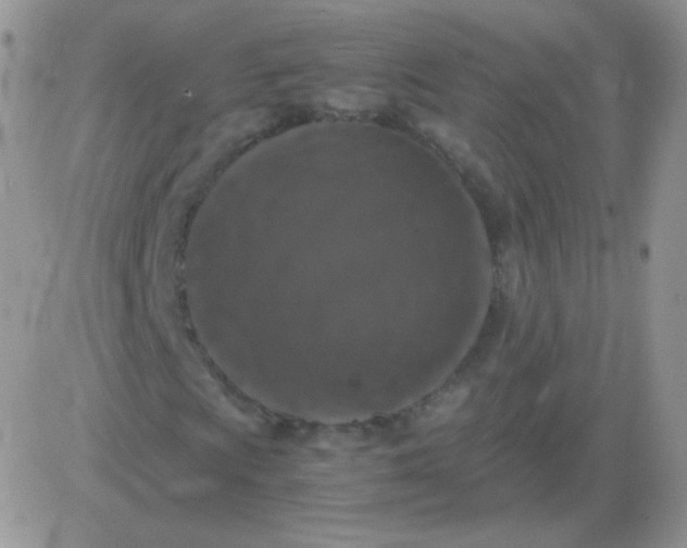 X0000081391009200701252059