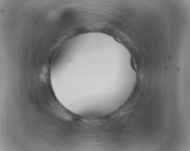 X0000081391012200701252059