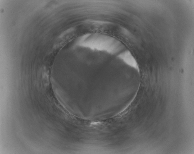 X0000081391013200701252059