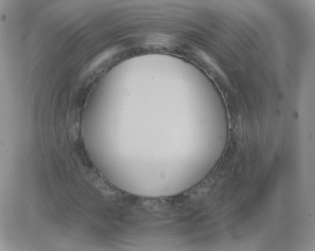 X0000081391015200701252059