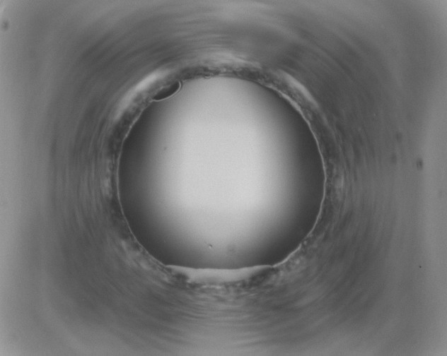 X0000081391016200701252059