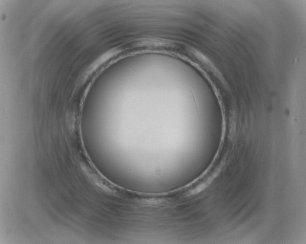 X0000081391017200701252059