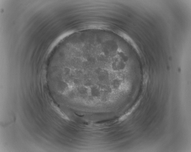 X0000081391019200701252059