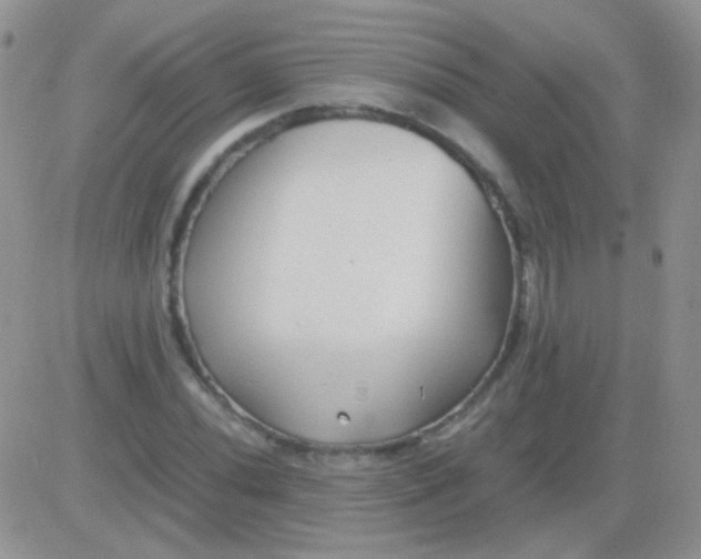 X0000081391020200701252059