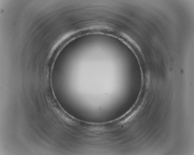 X0000081391021200701252059