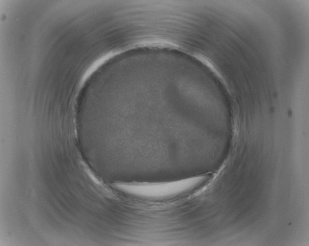 X0000081391022200701252059