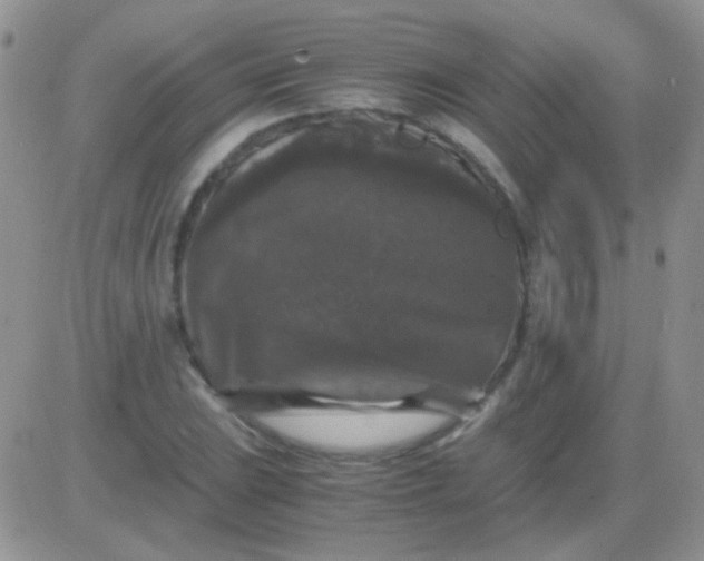 X0000081391023200701252059