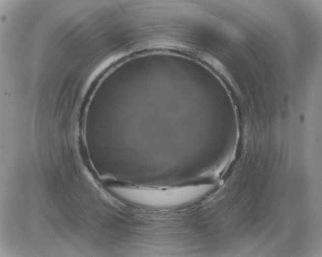 X0000081391024200701252059