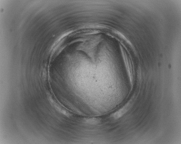 X0000081391025200701252059