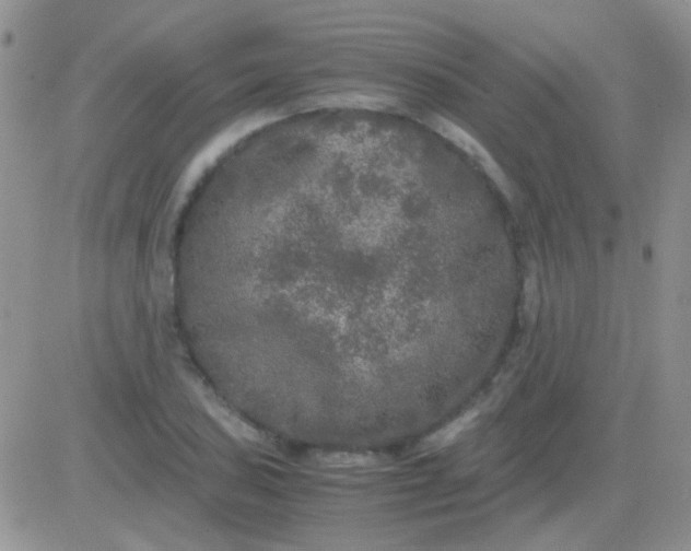 X0000081391027200701252059