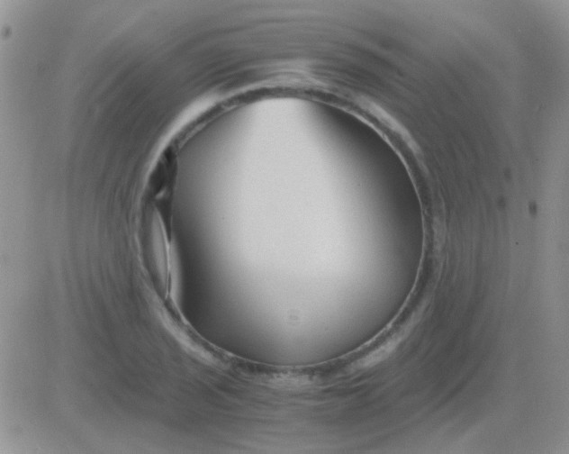 X0000081391029200701252059