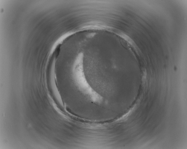 X0000081391030200701252059