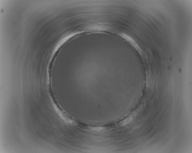 X0000081391031200701252059