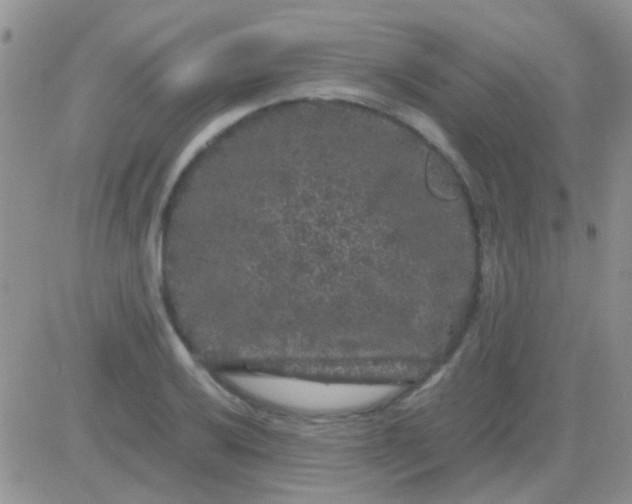 X0000081391032200701252059