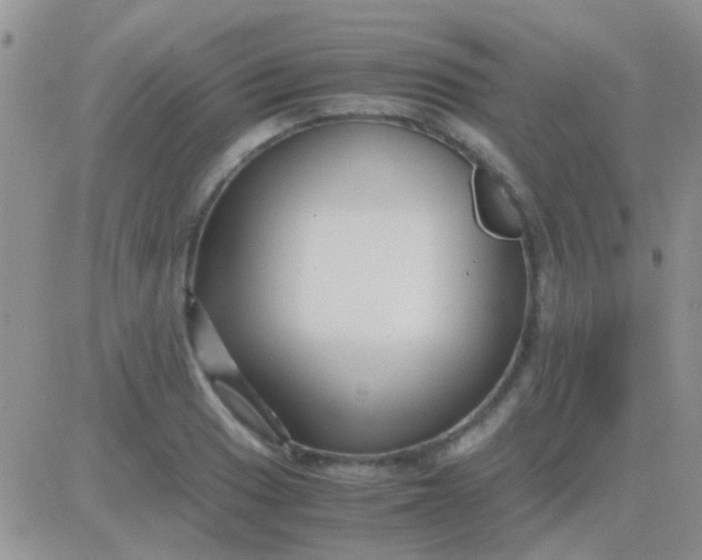 X0000081391033200701252059