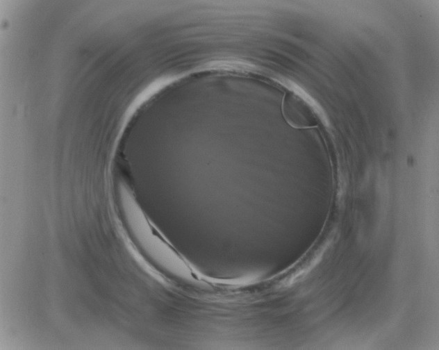 X0000081391037200701252059