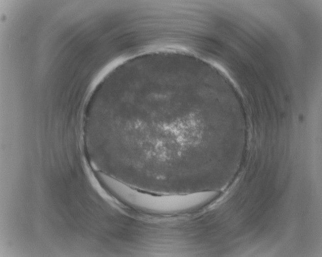 X0000081391038200701252059