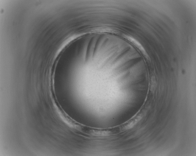 X0000081391039200701252059