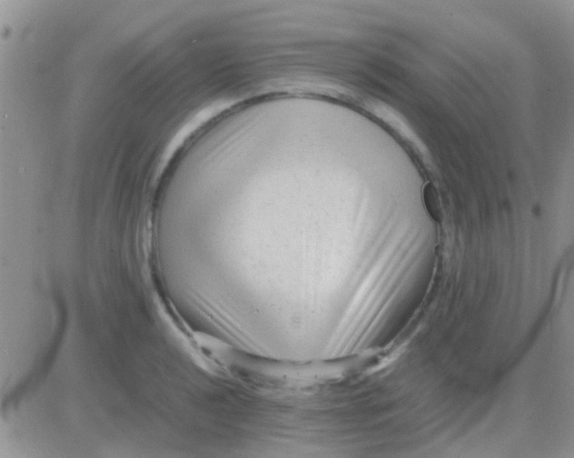 X0000081391040200701252059