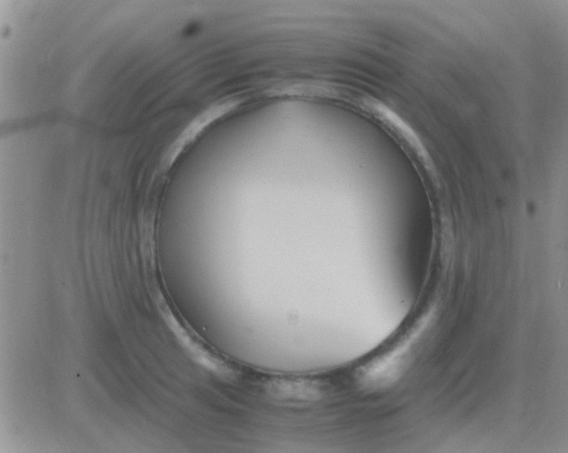 X0000081391041200701252059