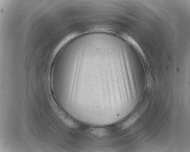 X0000081391043200701252059