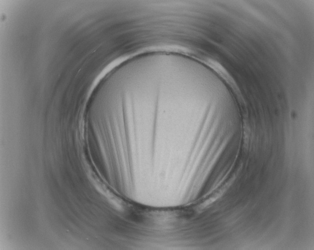 X0000081391044200701252059