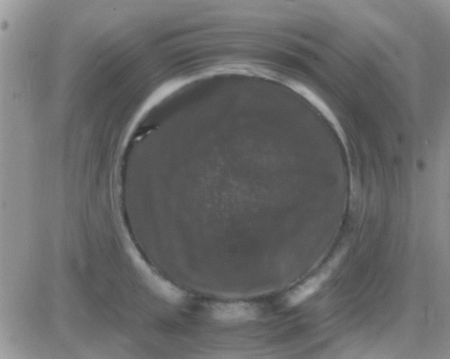 X0000081391045200701252059