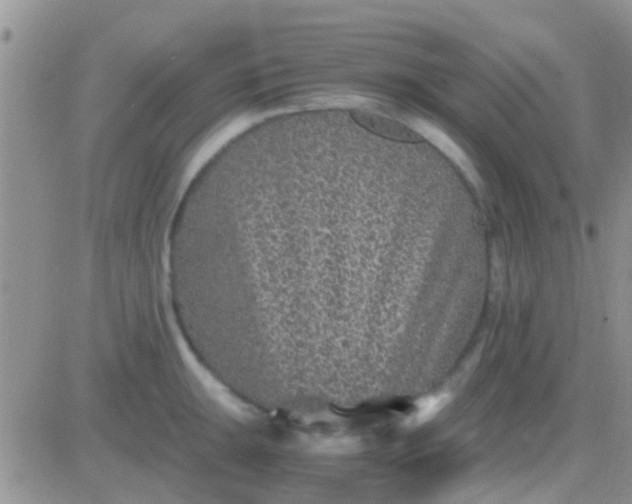 X0000081391047200701252059