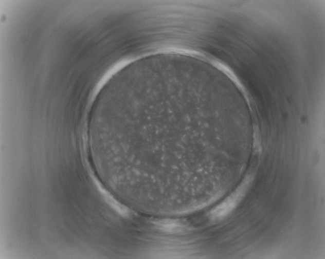 X0000081391048200701252059