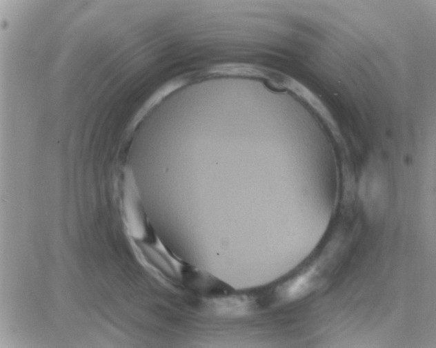 X0000081391049200701252059