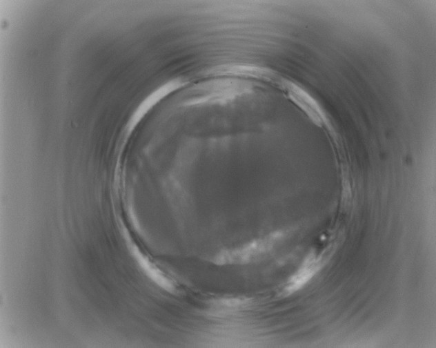 X0000081391050200701252059