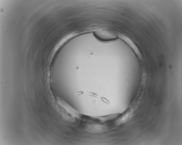 X0000081391051200701252059