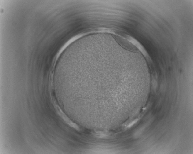 X0000081391052200701252059