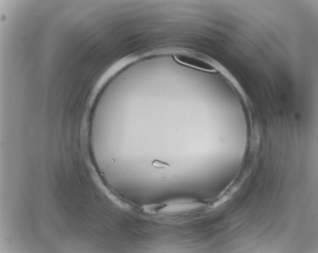 X0000081391053200701252059