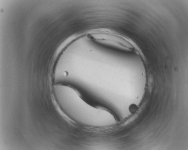 X0000081391054200701252059