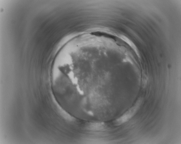 X0000081391055200701252059