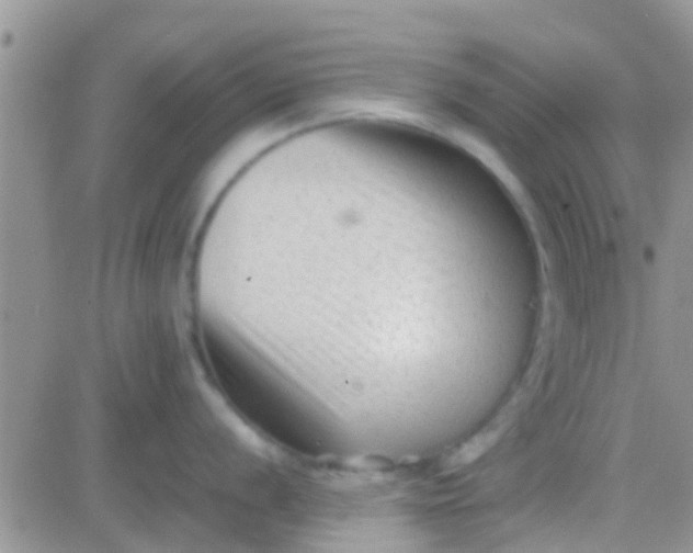 X0000081391056200701252059