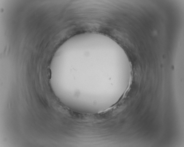 X0000081391057200701252058