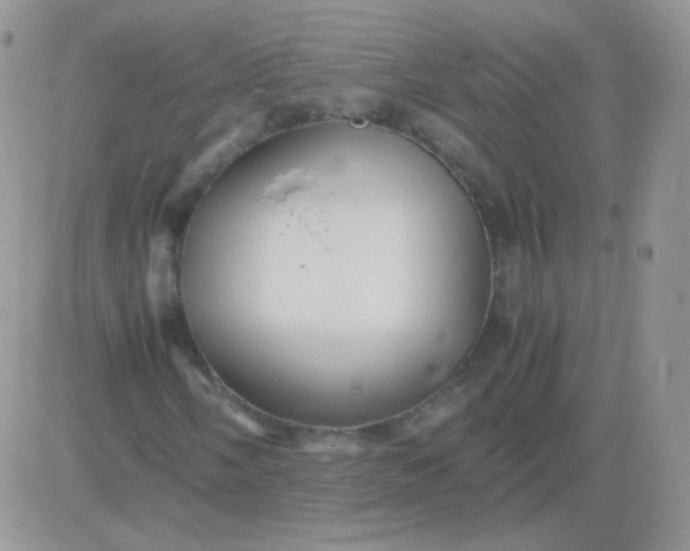 X0000081391058200701252058