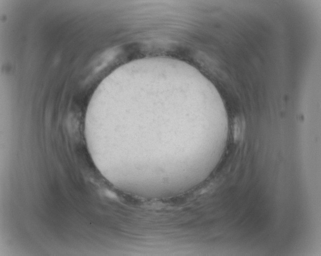 X0000081391059200701252058