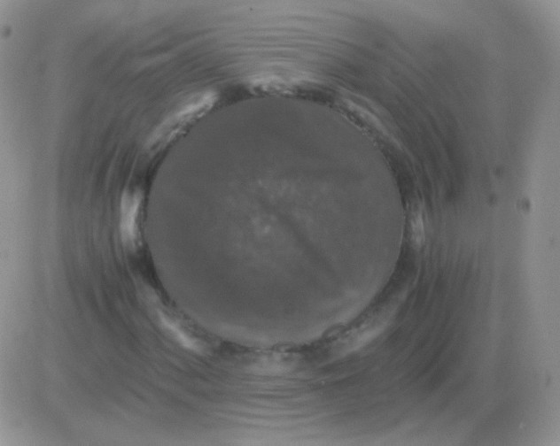 X0000081391060200701252058