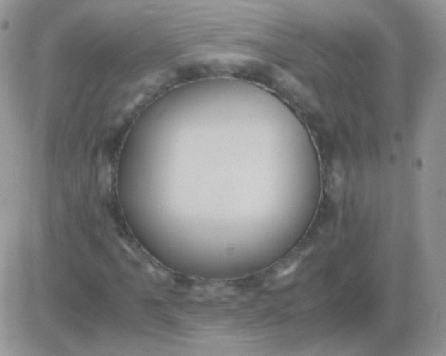 X0000081391061200701252058