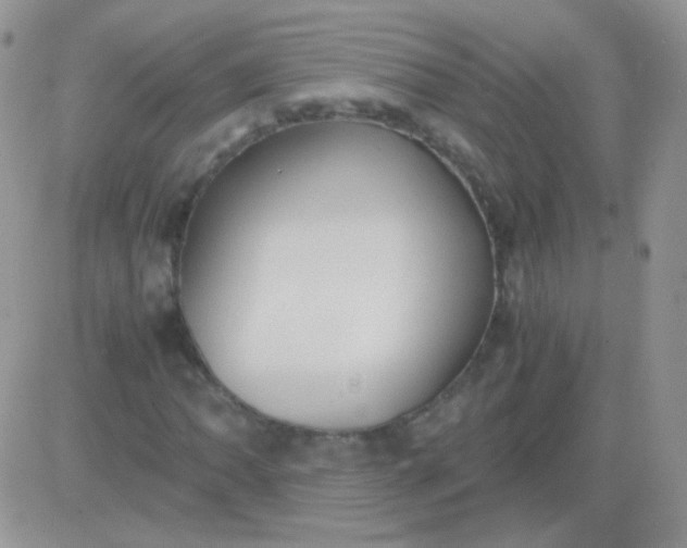 X0000081391062200701252058