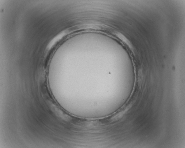 X0000081391067200701252058