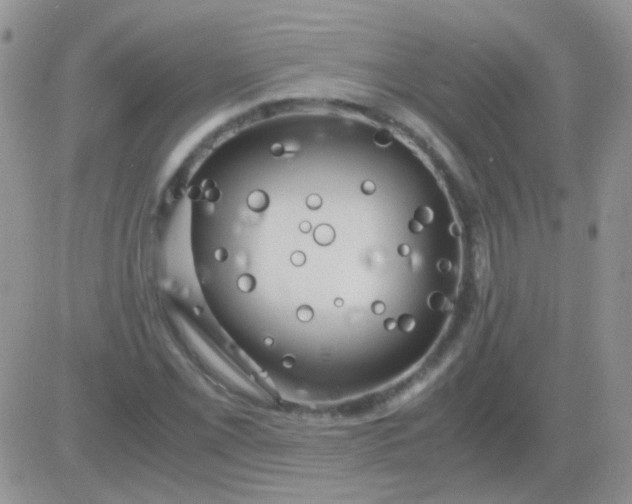 X0000081391069200701252058