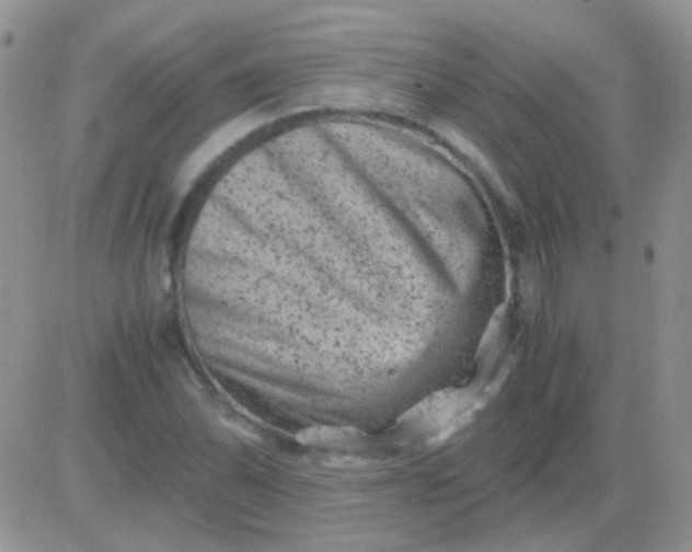 X0000081391070200701252058