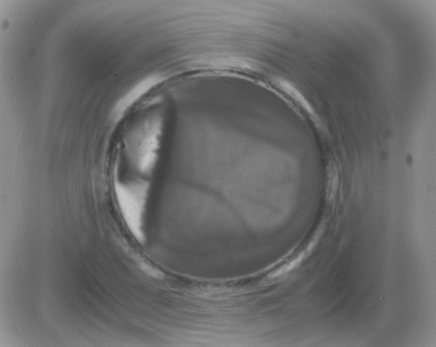 X0000081391071200701252058