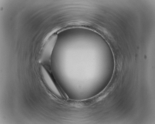 X0000081391073200701252058