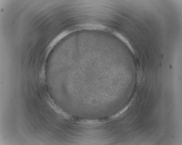 X0000081391074200701252058