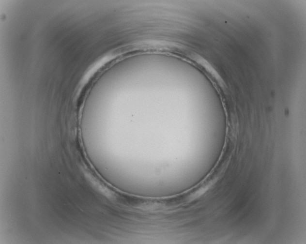 X0000081391075200701252058